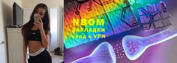 прущий лед Новозыбков