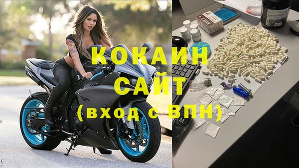 прущий лед Новозыбков