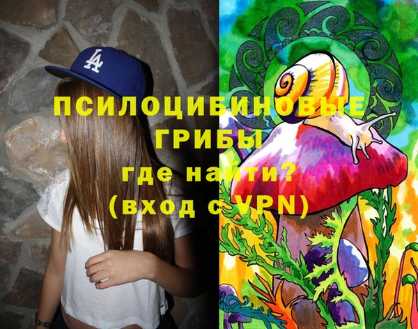 тгк Няндома