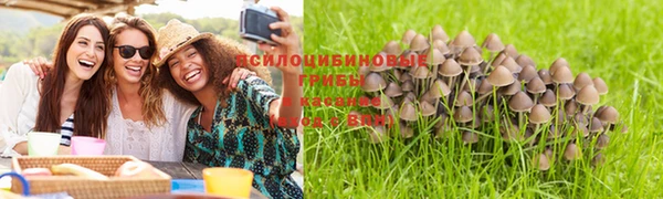 мяу мяу мука Новокубанск