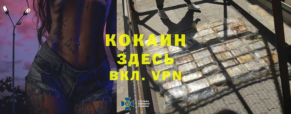 тгк Няндома