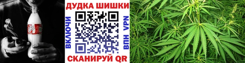Бошки Шишки ГИДРОПОН  Купить где  Когалым 